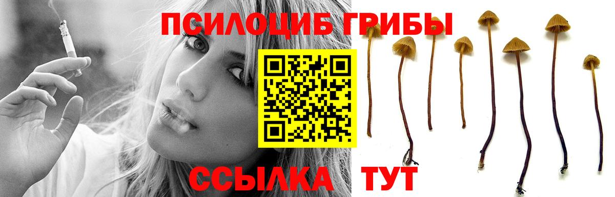 наркота  Псилоцибиновые грибы Magic Shrooms  Вход с VPN  Сегежа 